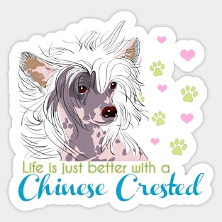 Life is better with a Chinese Crested! Especially for Chinese Crested Dog Lovers! Sticker